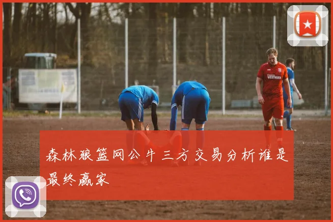 森林狼篮网公牛三方交易分析谁是最终赢家
