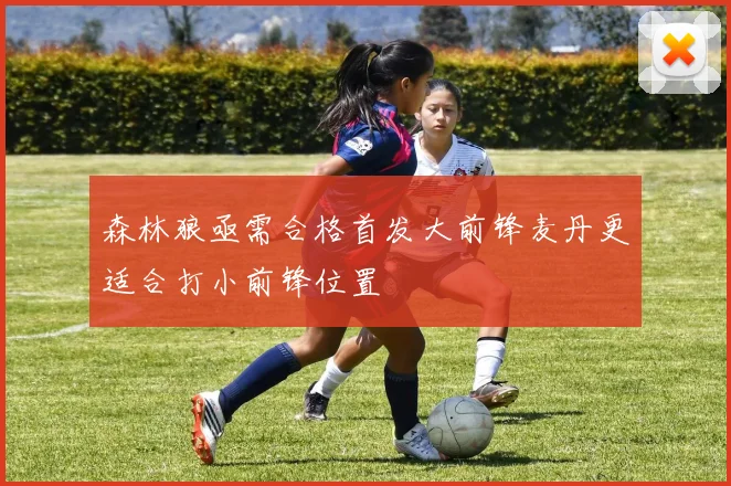 森林狼亟需合格首发大前锋麦丹更适合打小前锋位置